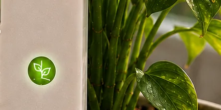 Singer Plant device in soil with a steady green light